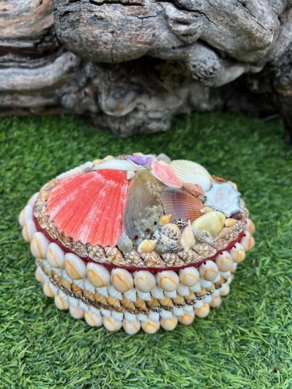 Handmade Seashell Trinket Box Oblong Shape Coral Accent Red Velvet Lining